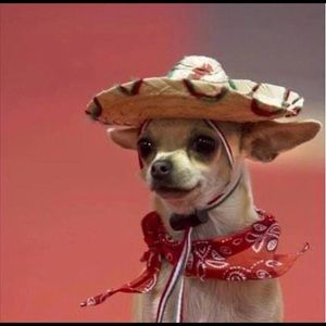 Meet your Posher, Tyla